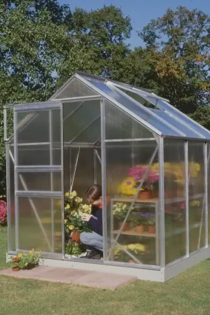 Gereduceerde Prijs Royal Well Tuinkas Popular 66 Polycarbonaat